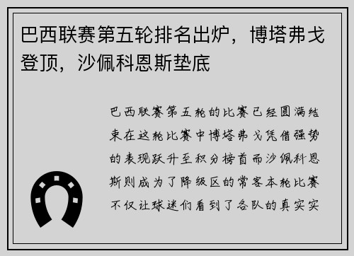 巴西联赛第五轮排名出炉，博塔弗戈登顶，沙佩科恩斯垫底